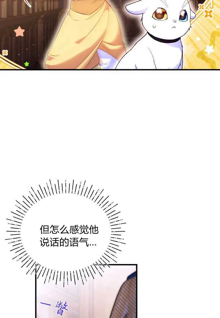 成为苏尔坦珍爱的猫咪 第24话 第64页