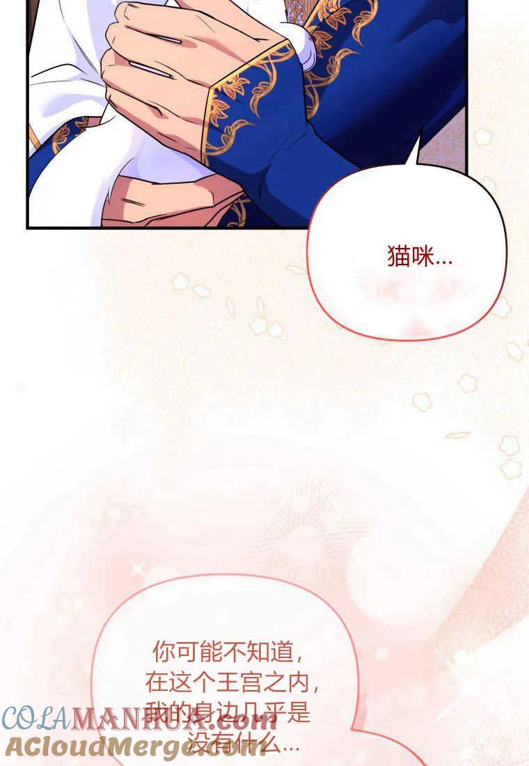 成为苏尔坦珍爱的猫咪 第24话 第81页