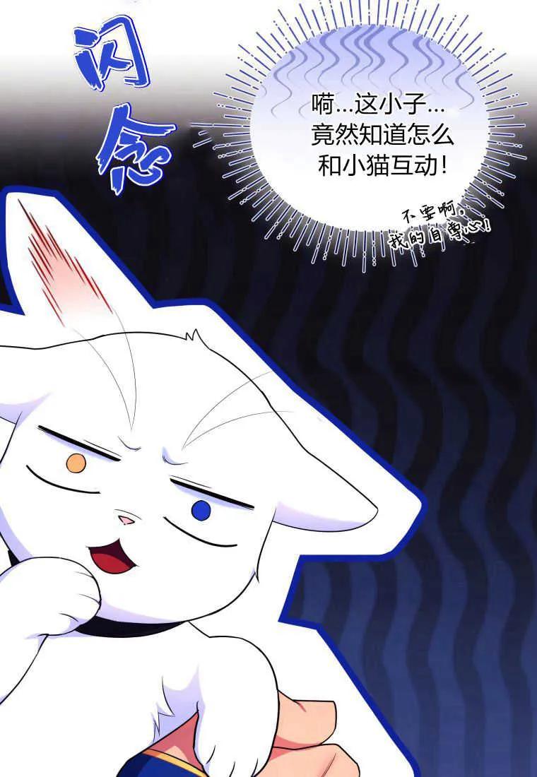成为苏尔坦珍爱的猫咪 第24话 第56页