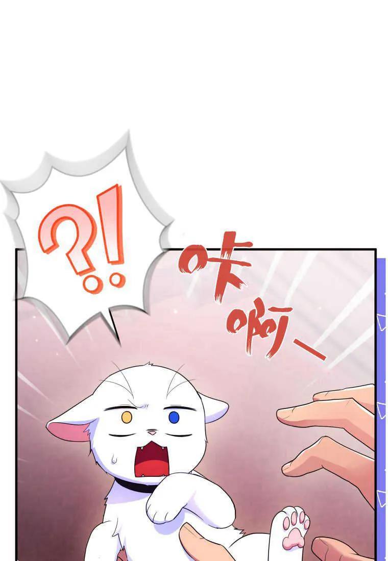 成为苏尔坦珍爱的猫咪 第24话 第75页