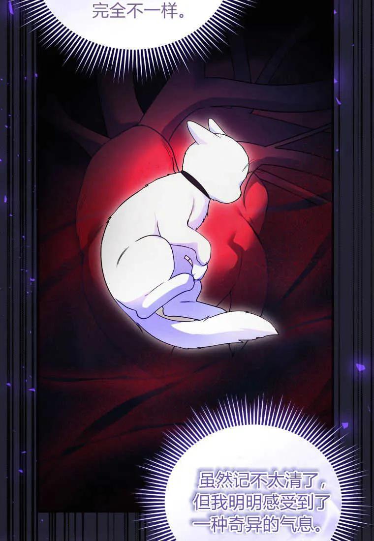 成为苏尔坦珍爱的猫咪 第25话 第10页