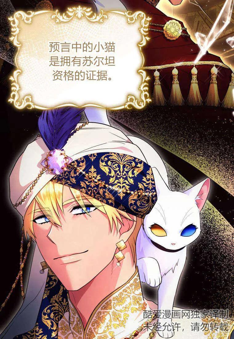 成为苏尔坦珍爱的猫咪 第25话 第15页