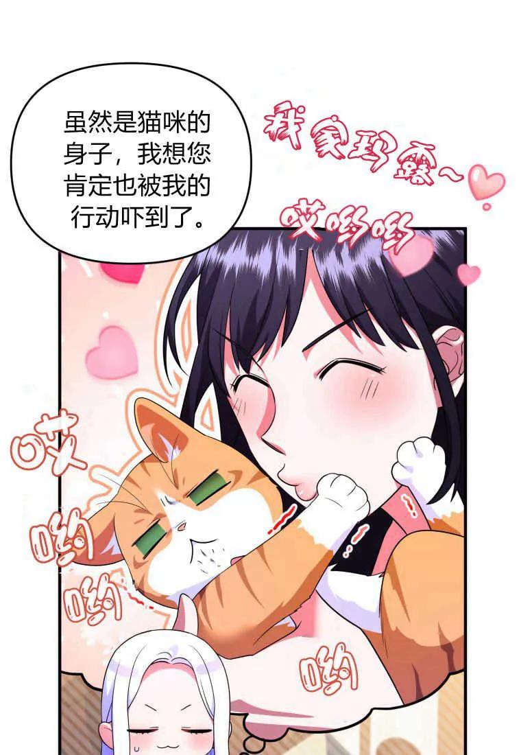 成为苏尔坦珍爱的猫咪 第25话 第24页