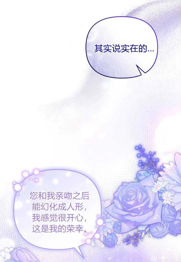 成为苏尔坦珍爱的猫咪 第25话 第34页
