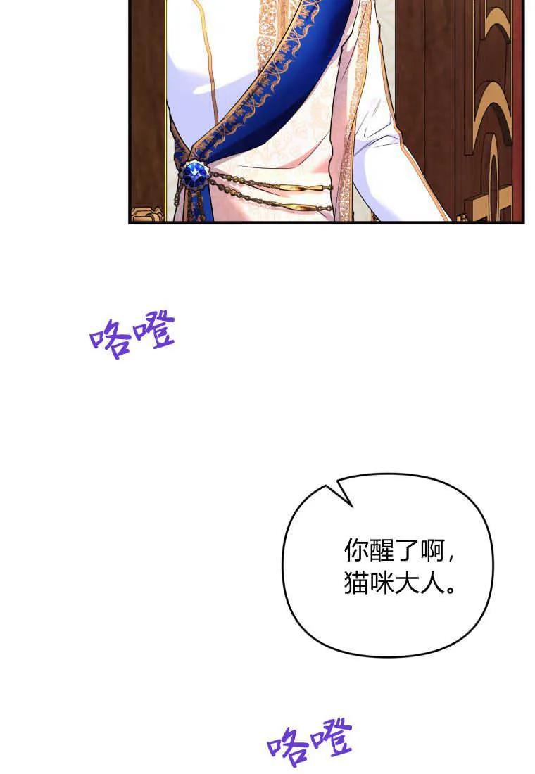 成为苏尔坦珍爱的猫咪 第25话 第18页