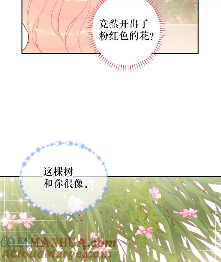 恶女保命计划 - 14.狩猎 - 第19张图