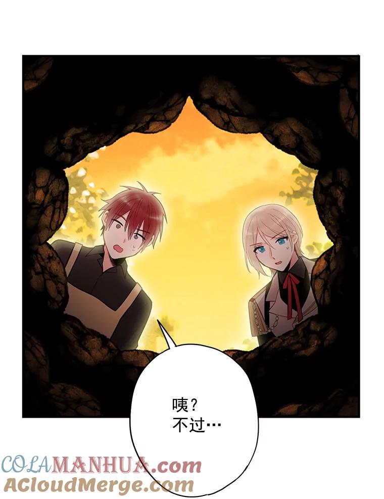 恶女保命计划 - 59.布林吉克 - 第31张图