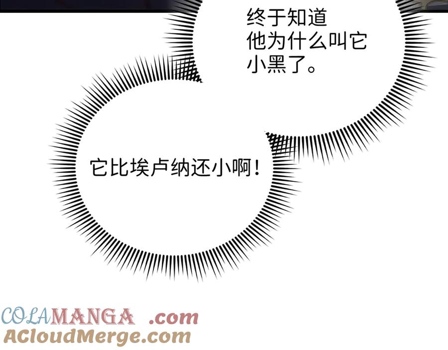 领主大人的金币用不完 - 第131话 高级精灵 - 第137张图