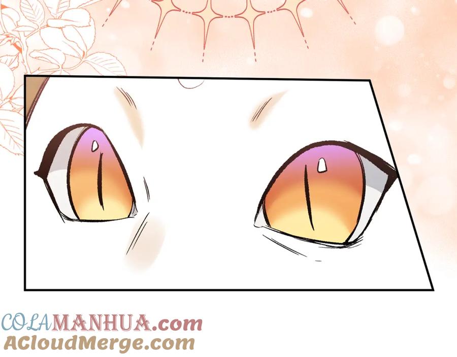 《恶女公爵的真面目》完结篇 我爱你，凯恩 第45页