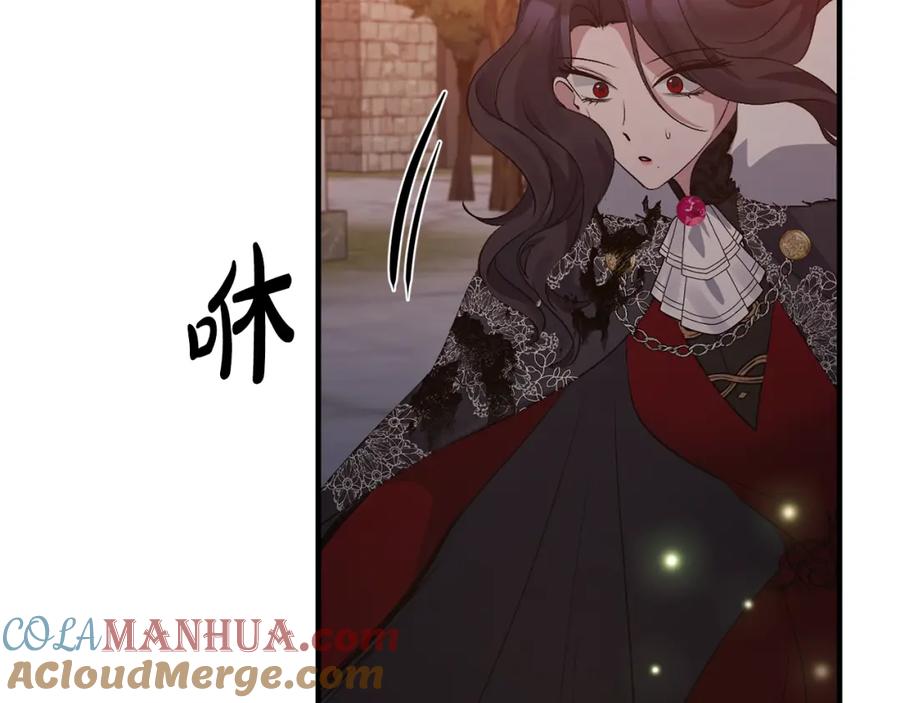 《恶女公爵的真面目》第11话 处决奸细 第161页