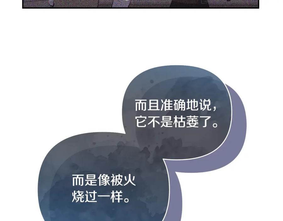 《恶女公爵的真面目》第73话 我只对你感兴趣 第71页