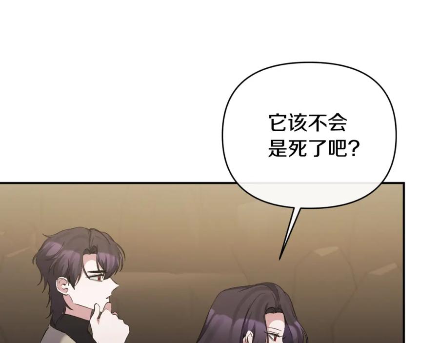 《恶女公爵的真面目》第89话 不明之物 第50页