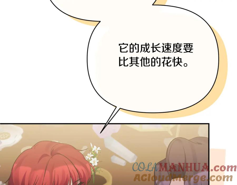 《恶女公爵的真面目》第91话 我喜欢凯恩 第73页