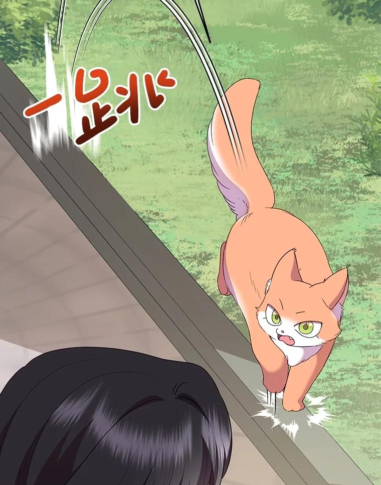 恶女今天也很快乐 107.布局 第126页