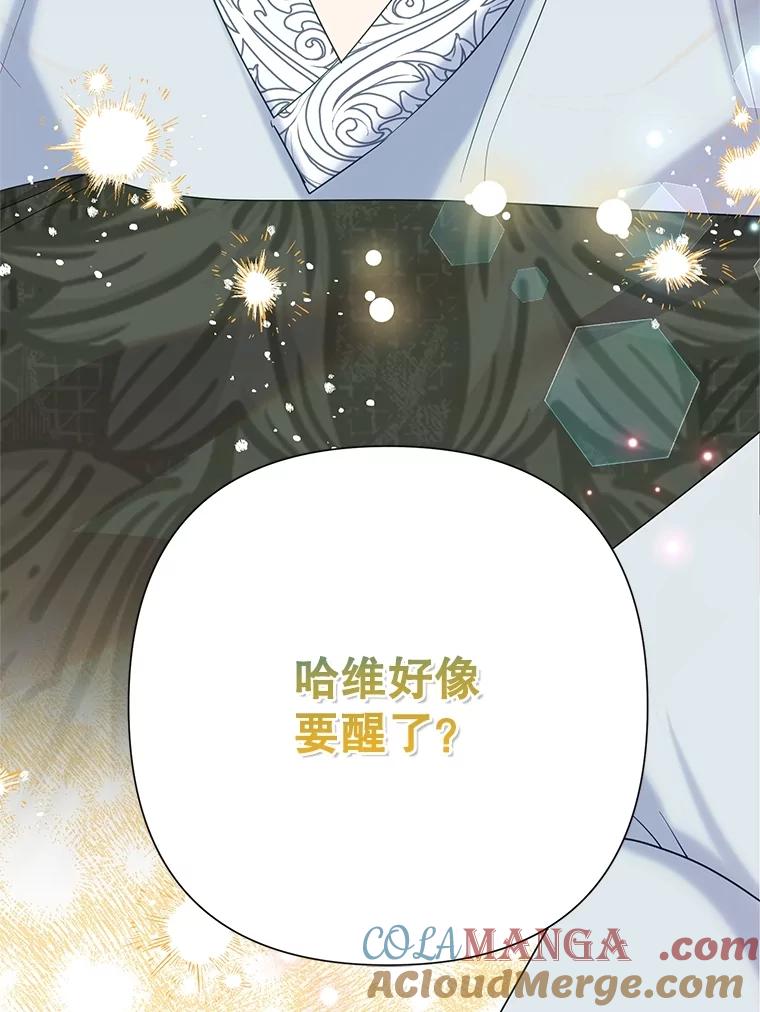 恶女今天也很快乐 107.布局 第137页