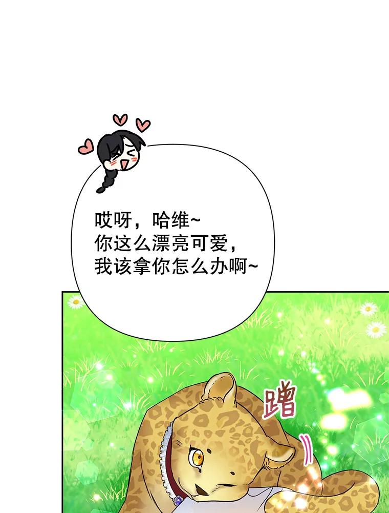 恶女今天也很快乐 21.带豹出街 第28页