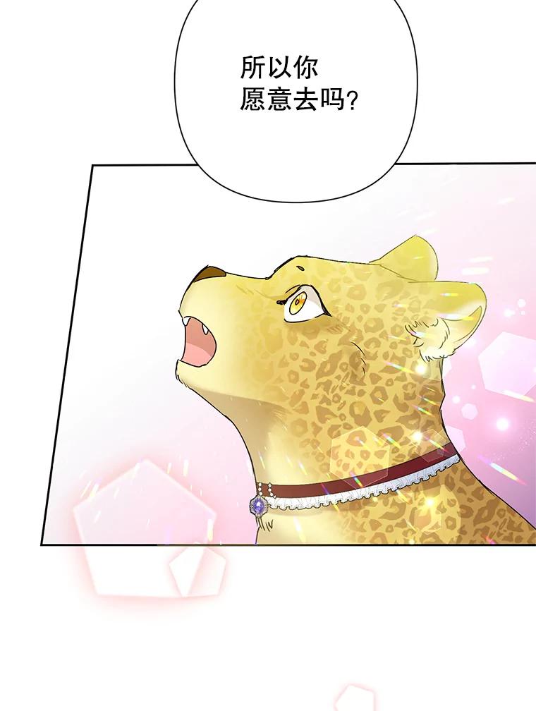恶女今天也很快乐 21.带豹出街 第34页