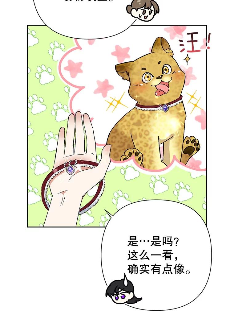 恶女今天也很快乐 21.带豹出街 第3页