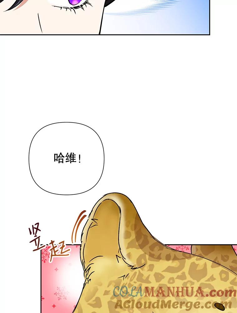 恶女今天也很快乐 21.带豹出街 第25页