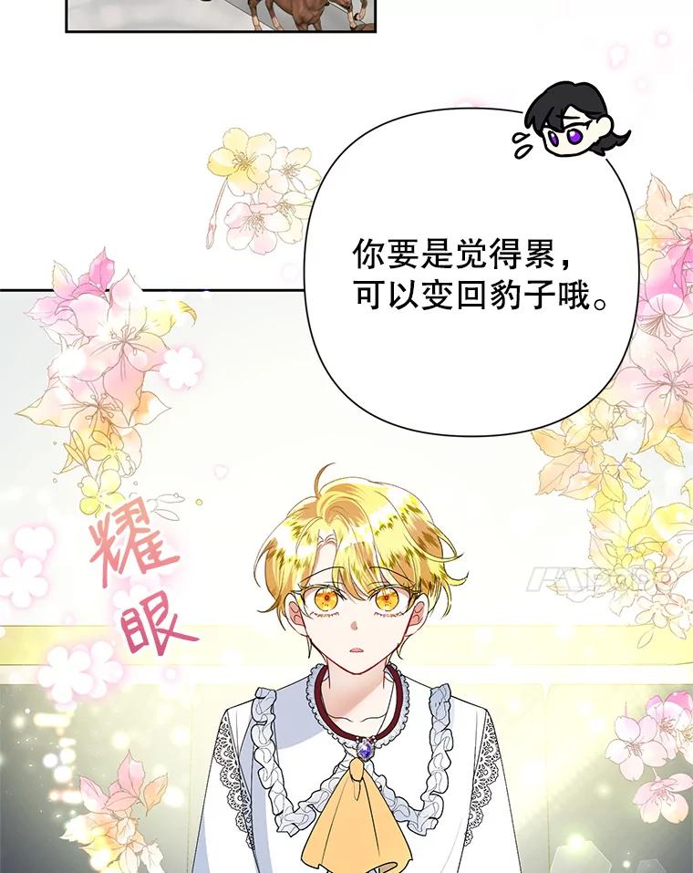 恶女今天也很快乐 21.带豹出街 第43页