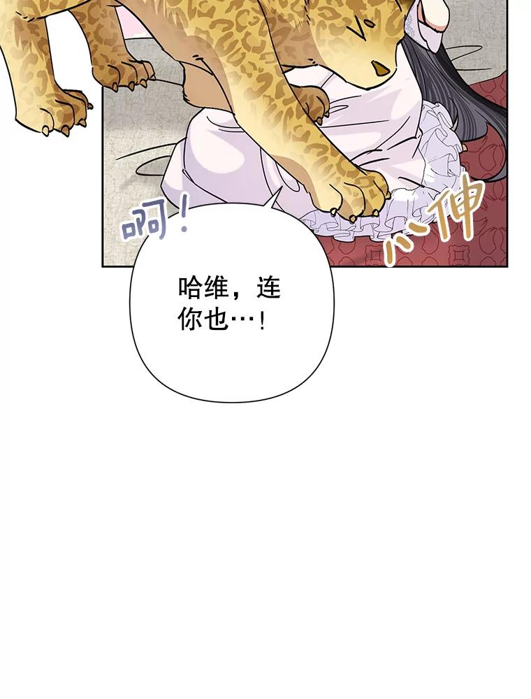 恶女今天也很快乐 43.作战计划 第15页
