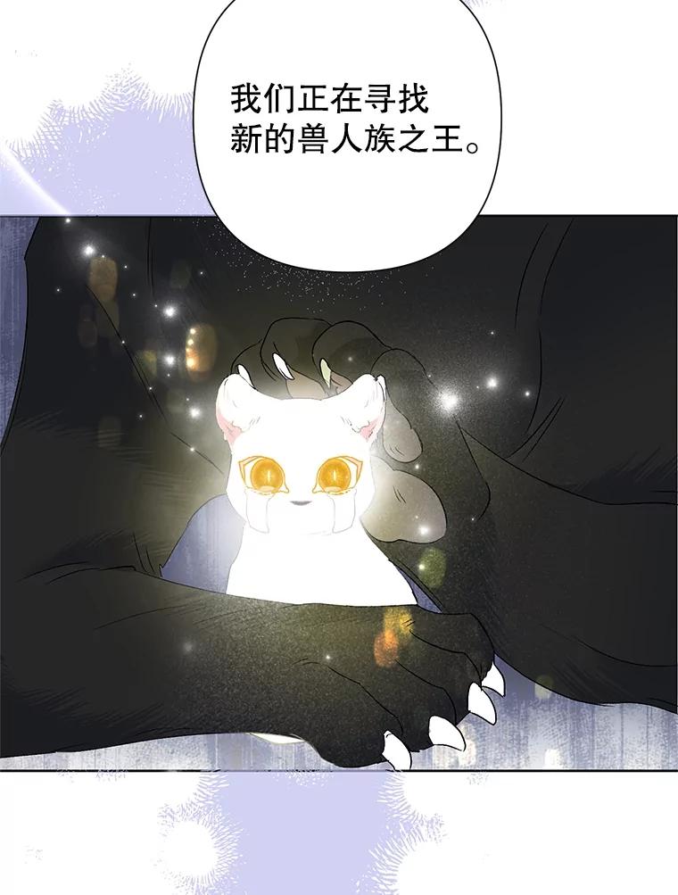 恶女今天也很快乐 57.兽人族之王 第41页