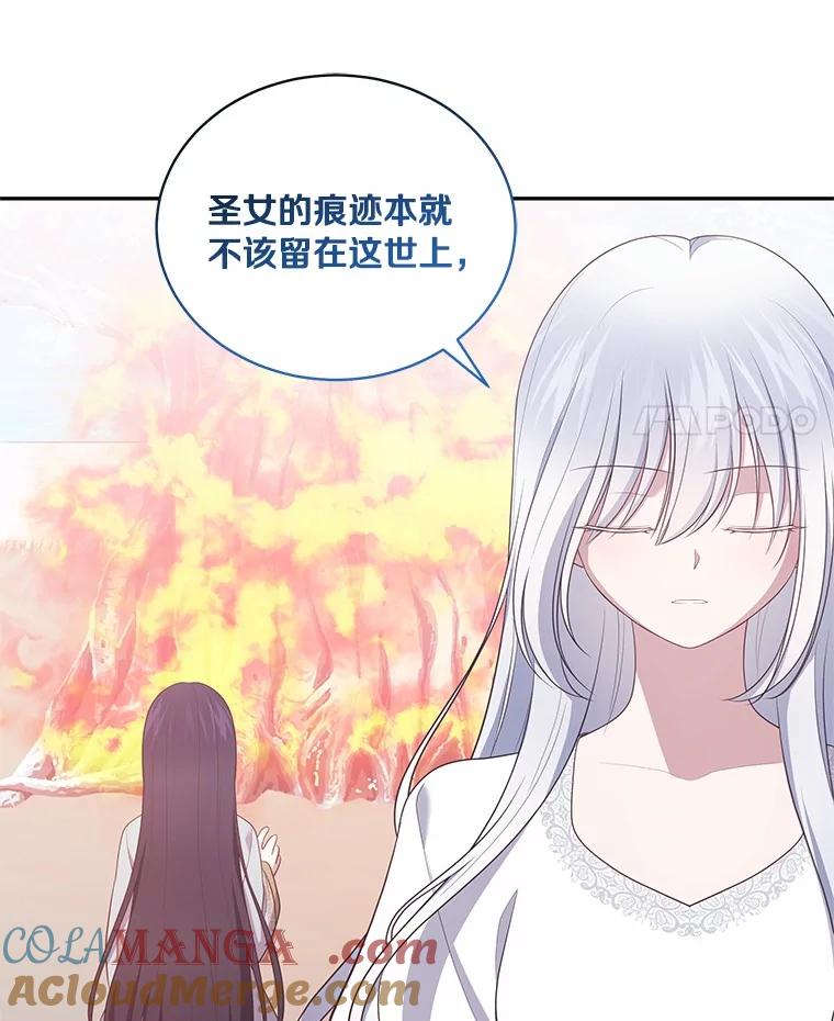 恶人奶爸的宝贝女儿 87.圣女的容器 第53页