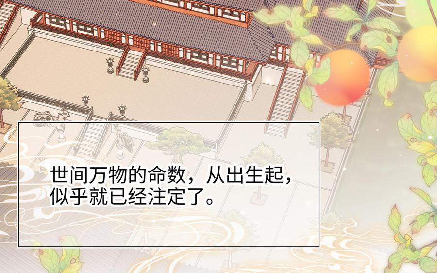 恶女拒绝泡男主 第33话 最稳妥的方法 第7页
