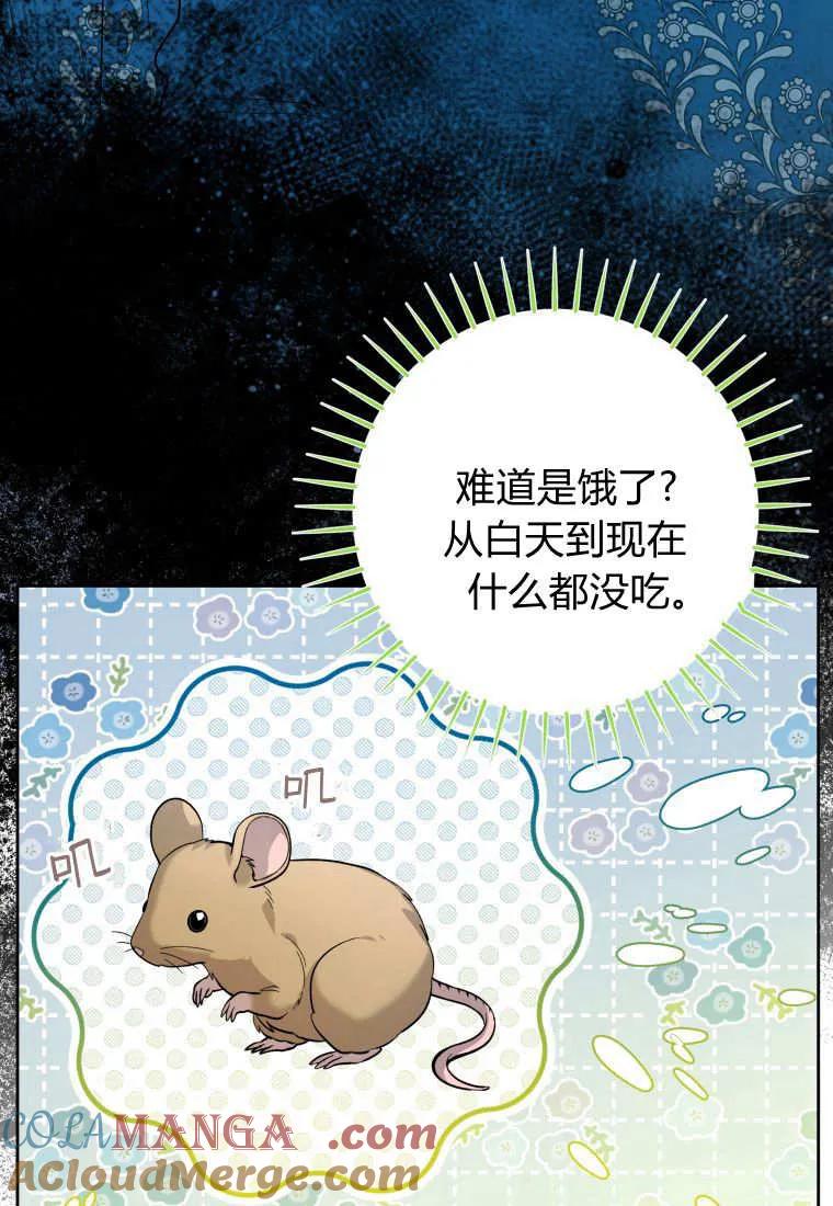 黑幕虎鲸宝宝 第36话 第13页