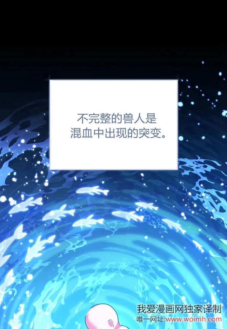 黑幕虎鲸宝宝 第36话 第82页