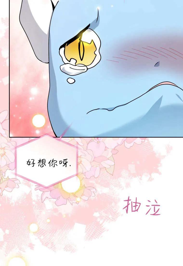 黑幕虎鲸宝宝 第40话 第84页