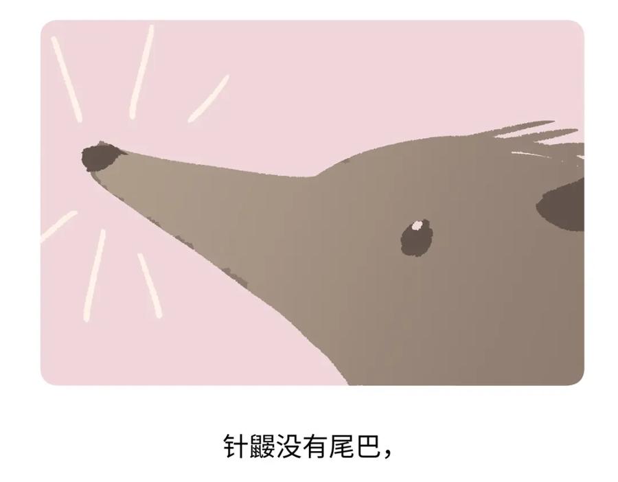 《胖达x胖达》第255话 第22页