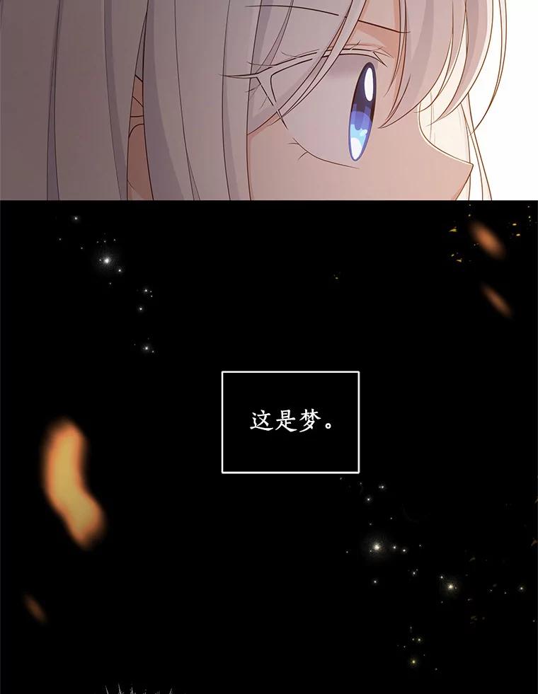 恶人奶爸的宝贝女儿 15.梦境 第3页