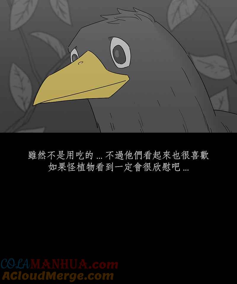 黑盒子 [第207话] 孤芳(4) 第31页