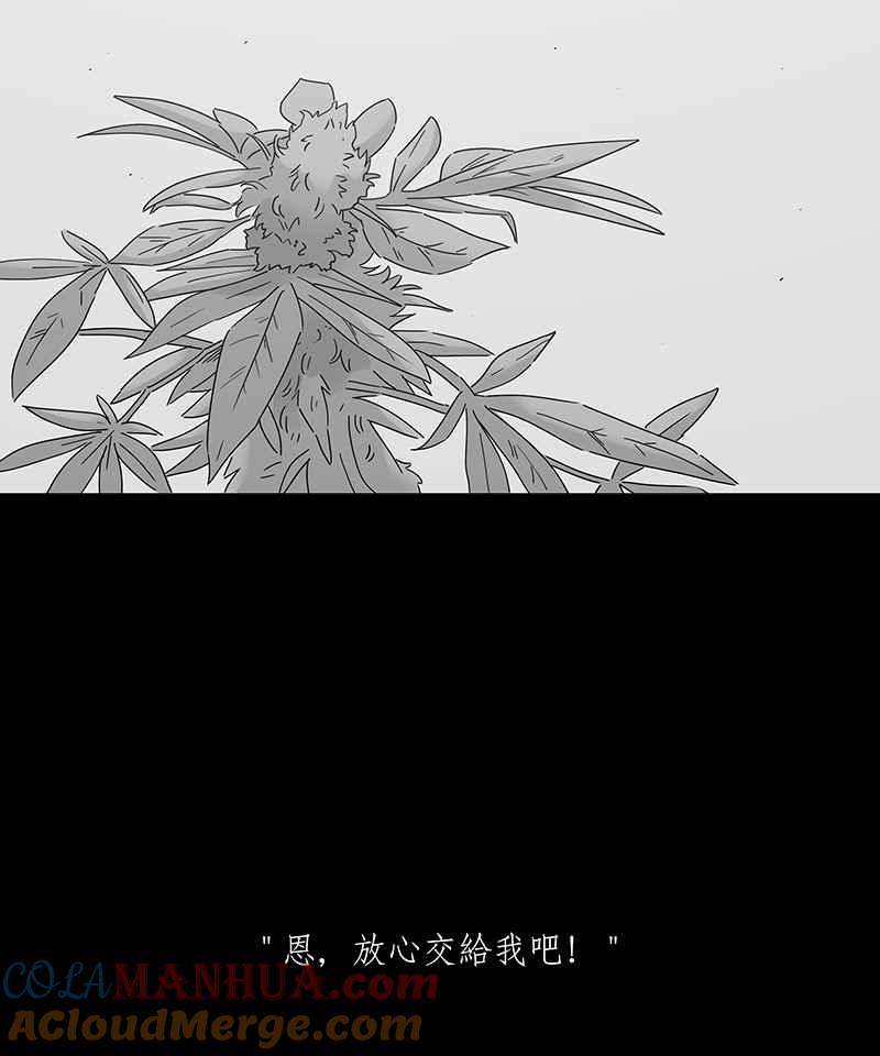 黑盒子 [第207话] 孤芳(4) 第13页