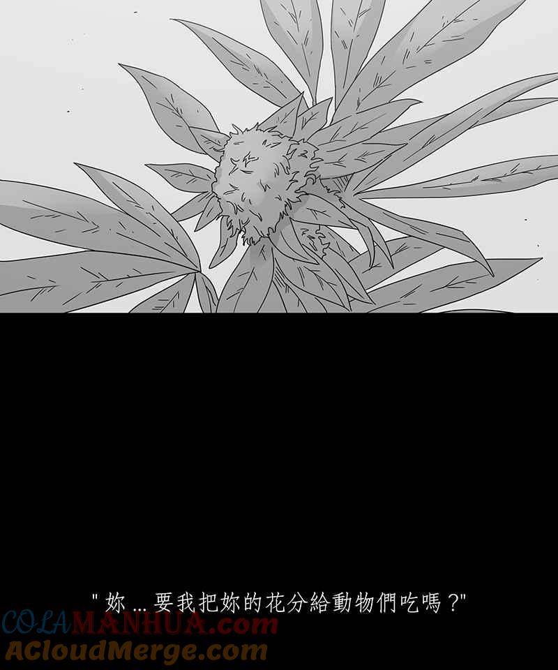 黑盒子 [第207话] 孤芳(4) 第11页