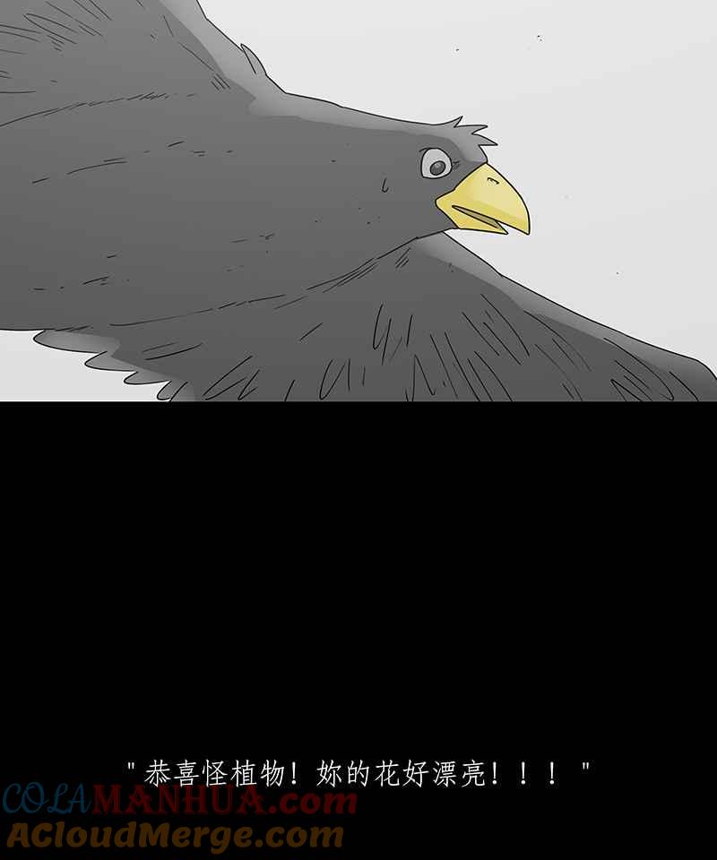 黑盒子 [第207话] 孤芳(4) 第3页