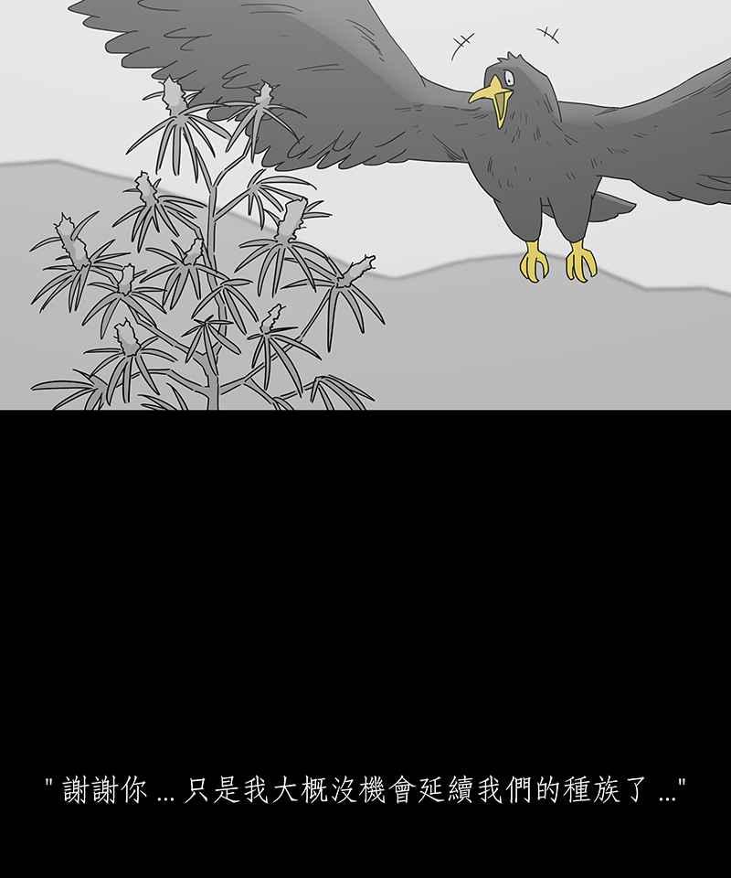 黑盒子 [第207话] 孤芳(4) 第4页