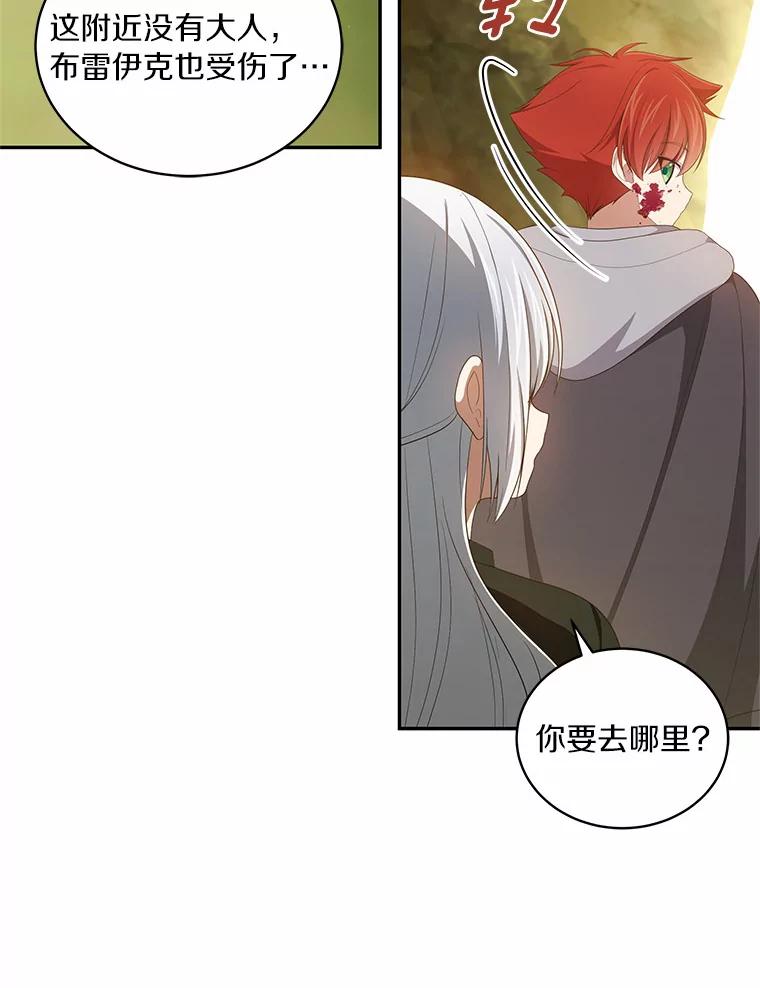 恶人奶爸的宝贝女儿 49.遇到枭熊 第72页