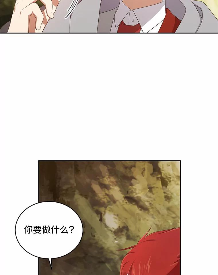 恶人奶爸的宝贝女儿 49.遇到枭熊 第78页