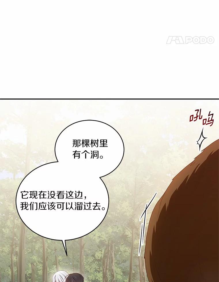恶人奶爸的宝贝女儿 49.遇到枭熊 第38页