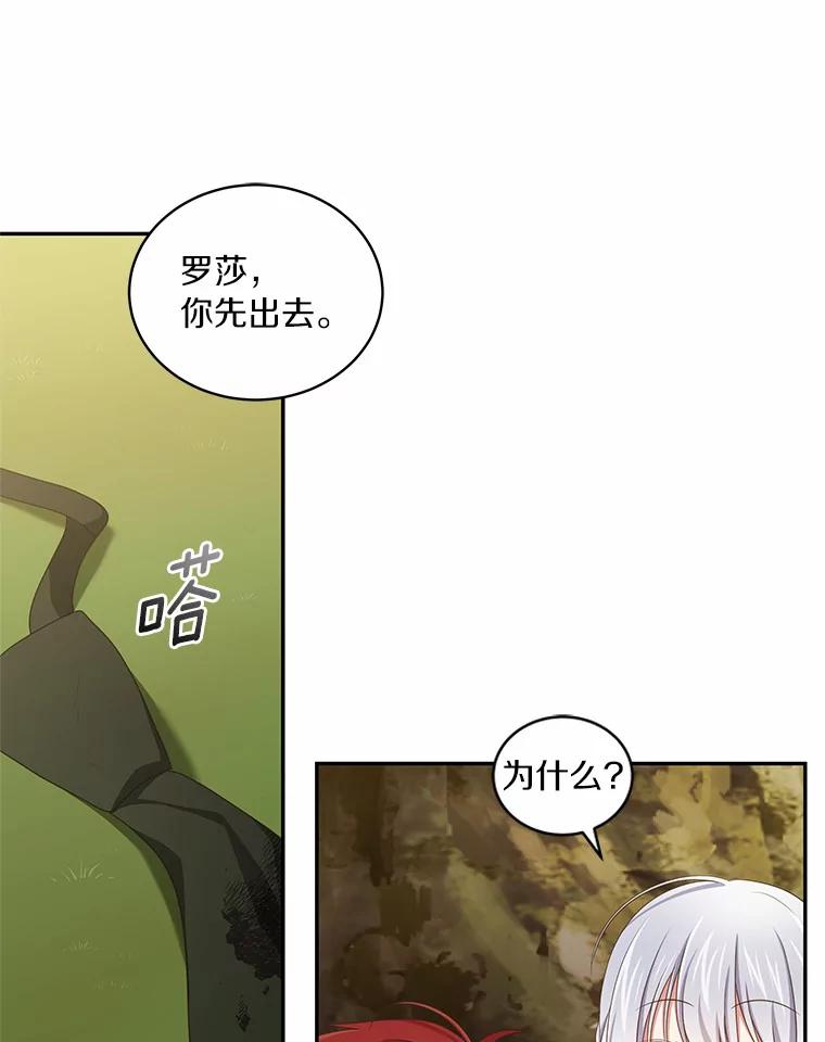 恶人奶爸的宝贝女儿 49.遇到枭熊 第80页