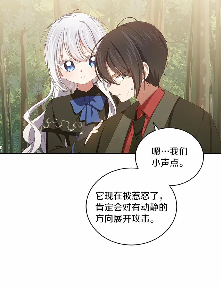 恶人奶爸的宝贝女儿 49.遇到枭熊 第40页