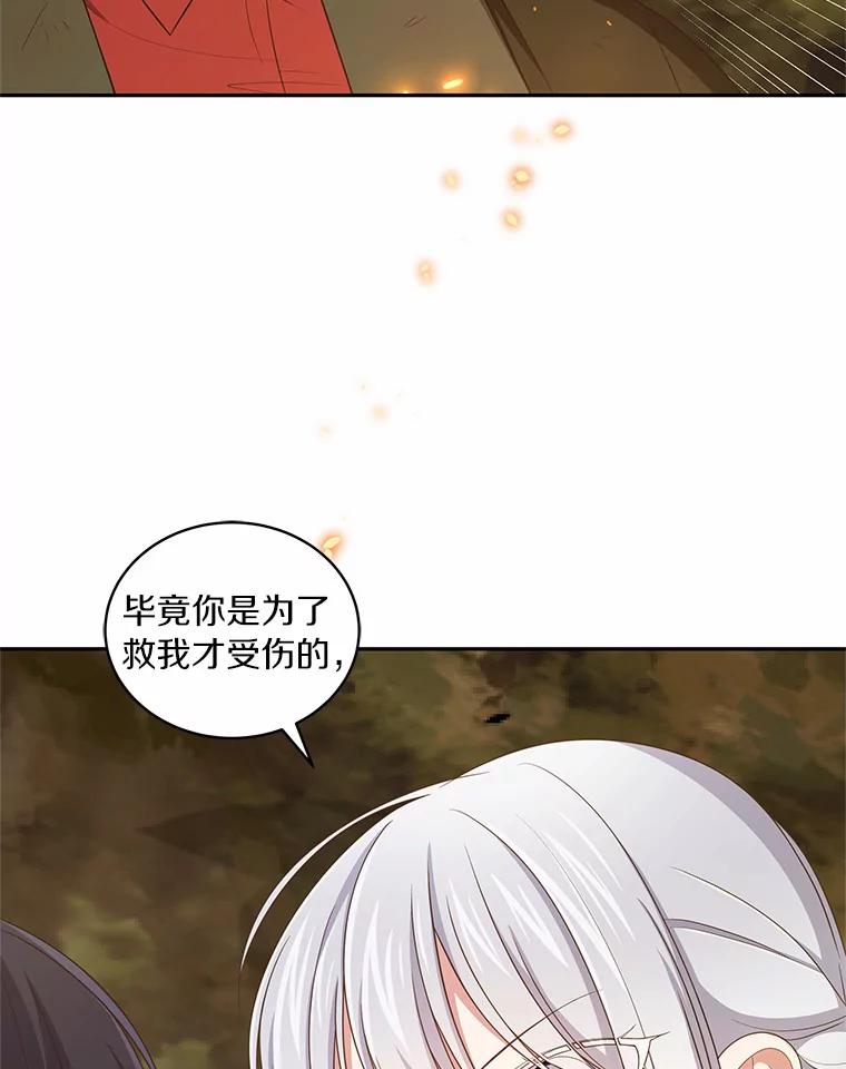 恶人奶爸的宝贝女儿 49.遇到枭熊 第90页