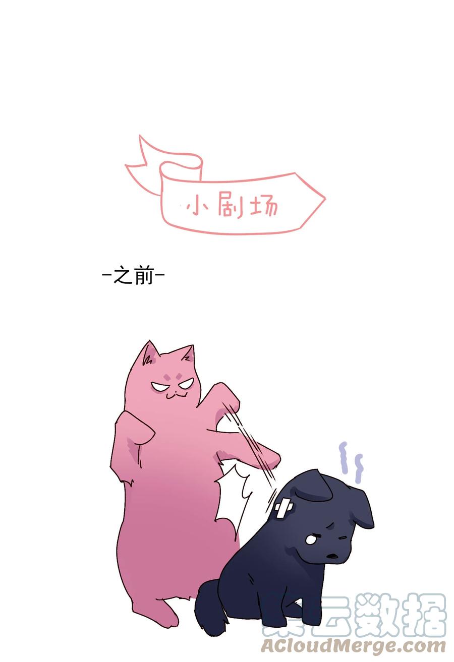 恶人想要抢救一下 018 哥，我想跟你一起回家 第33页