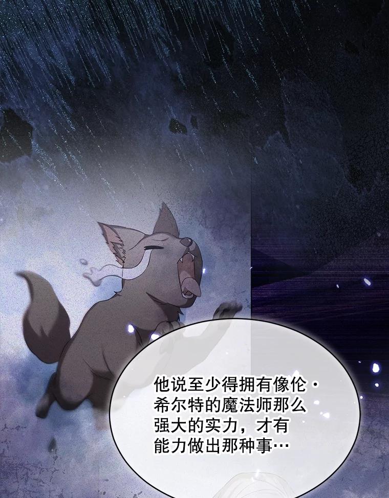 重生为神兽宝宝 - 57.陪逛庆典 - 第8张图