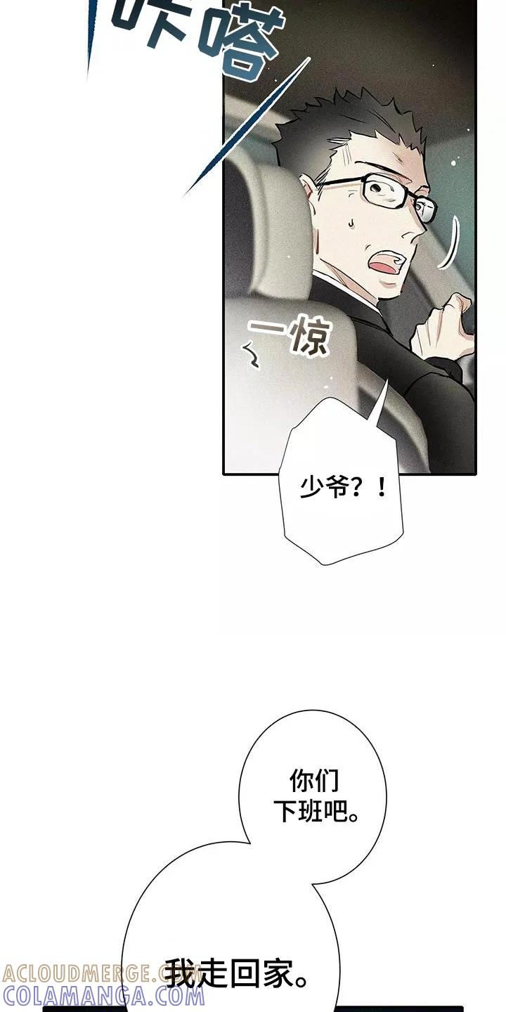 念念不忘 第33章：你个傻瓜 第11页