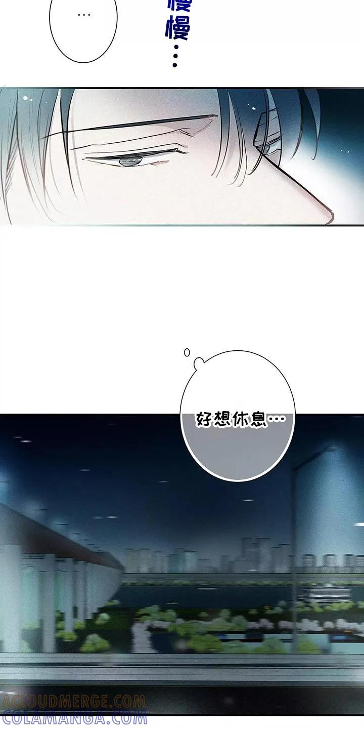 念念不忘 第33章：你个傻瓜 第7页