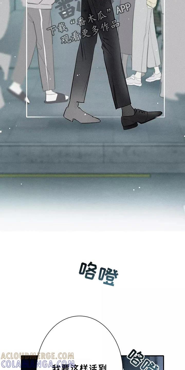 念念不忘 第33章：你个傻瓜 第15页