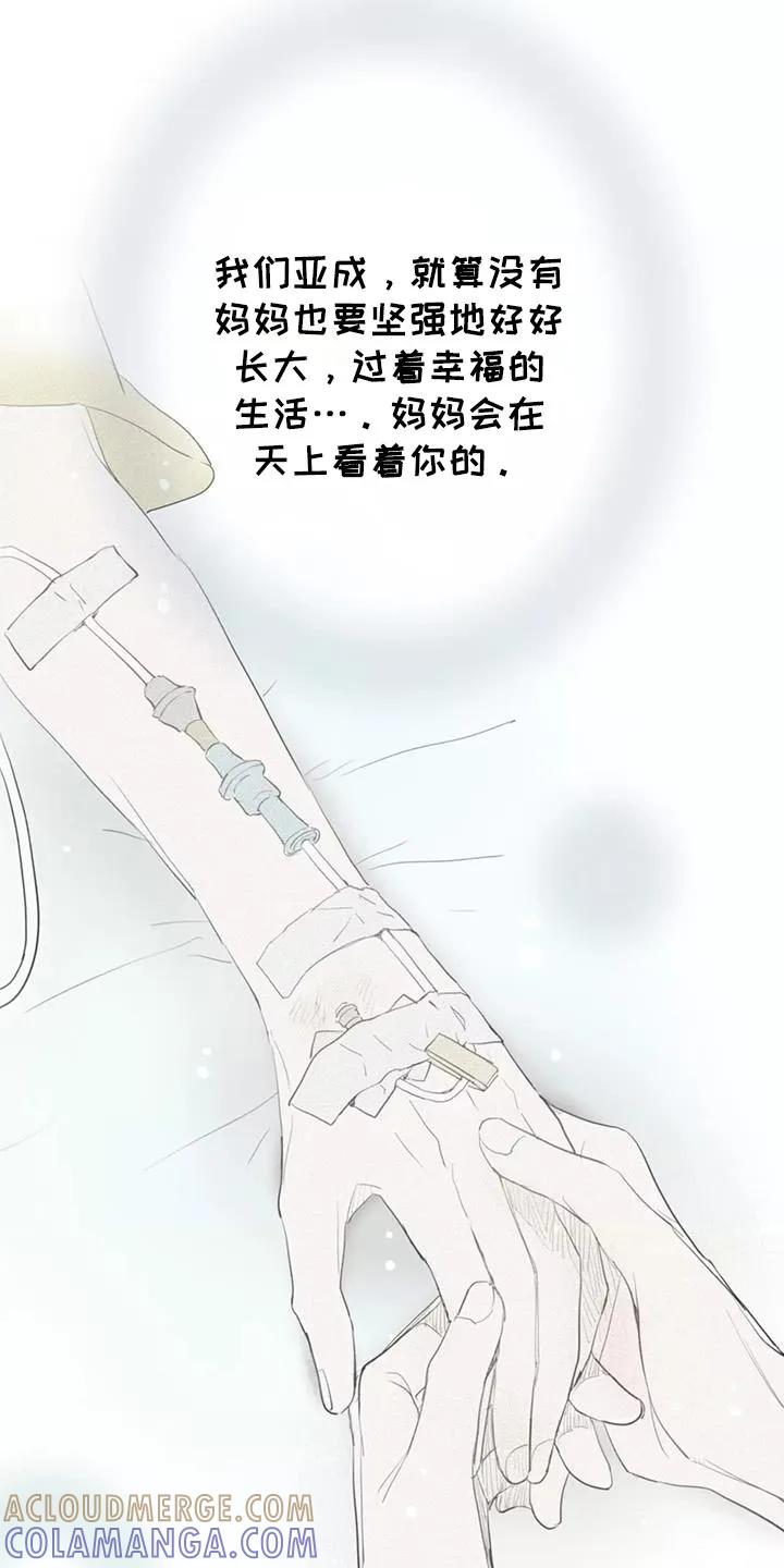 念念不忘 第33章：你个傻瓜 第17页